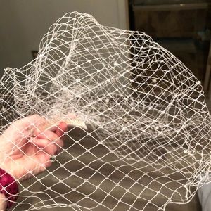 Birdcage veil